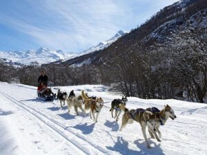 traineau vacances ski