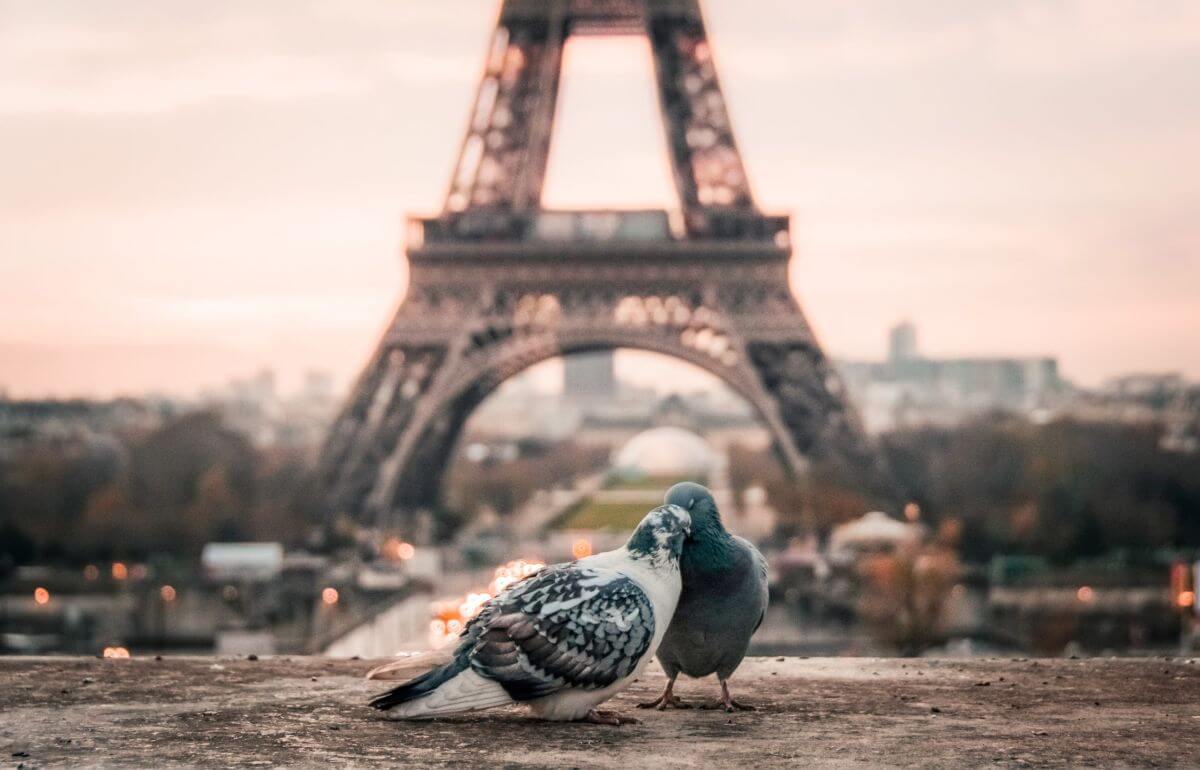 Paris, la Ville de l'Amour